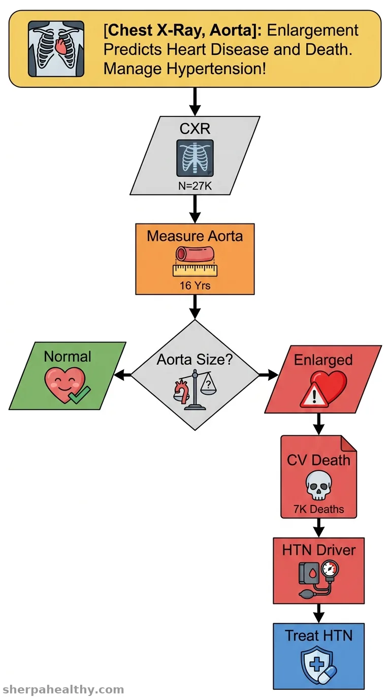 Chest x-ray aortic size and risk of death and cardiovascular disease in older Chinese: Guangzhou biobank cohort study.