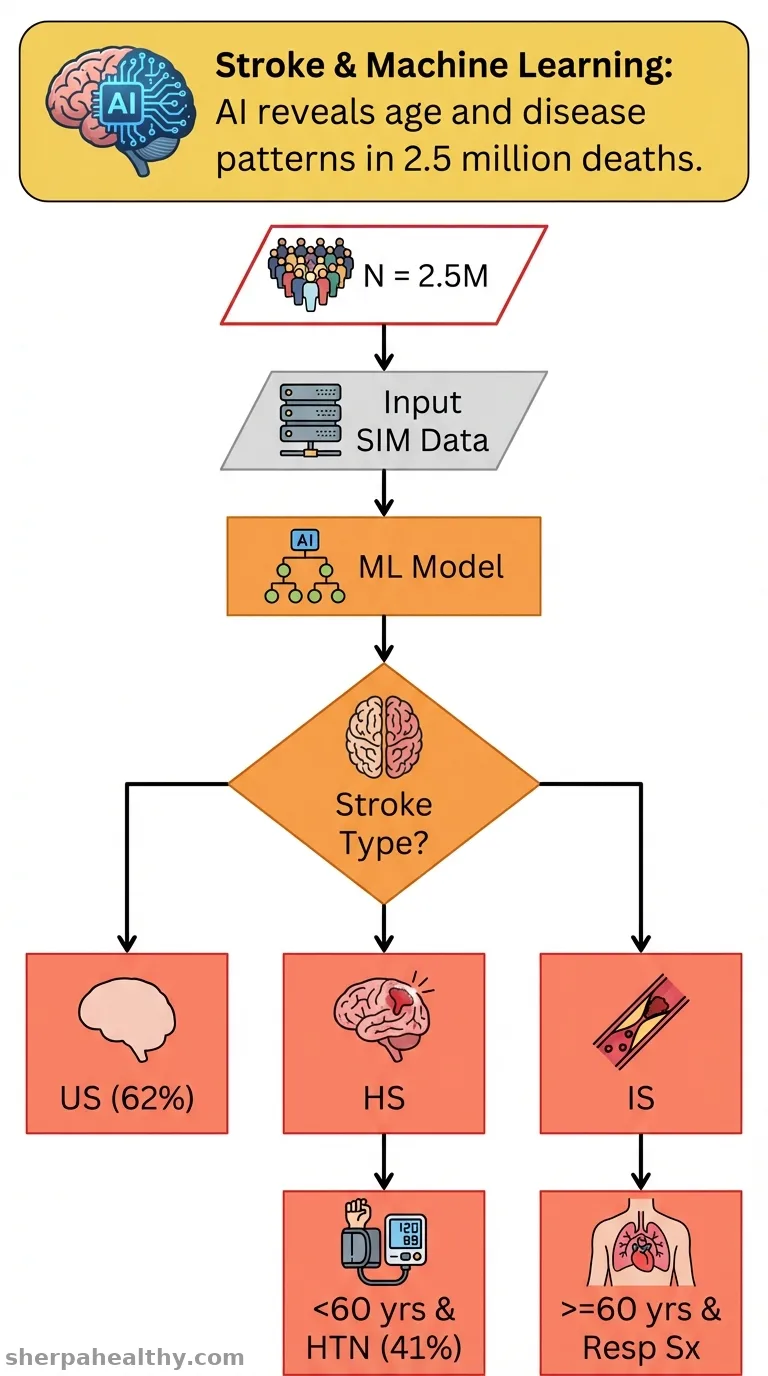 Stroke Deaths Profile and Its Subtypes in Brazil: Analysis Using Machine Learning.