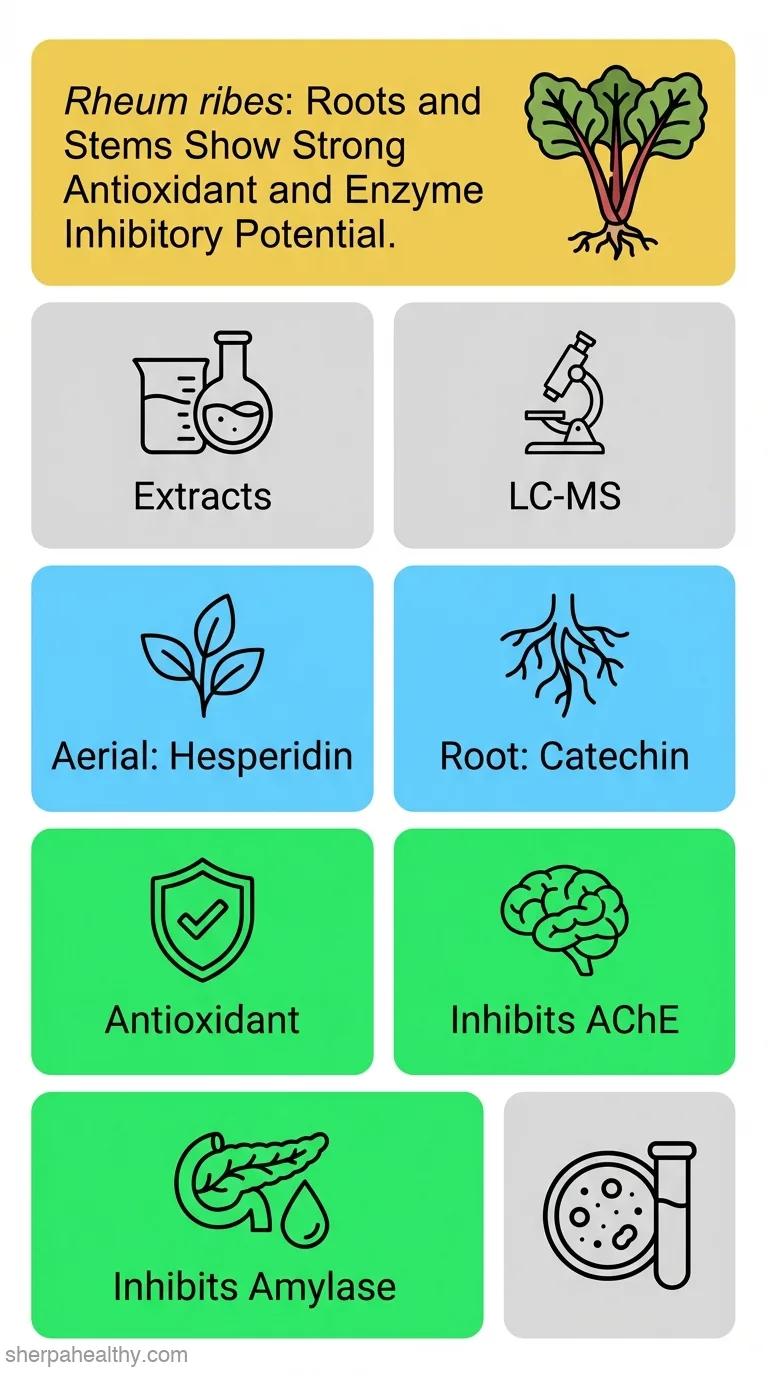 Screening for Antioxidant Effects and Chemical Profiles of Different Extracts of Rheum ribes Parts.