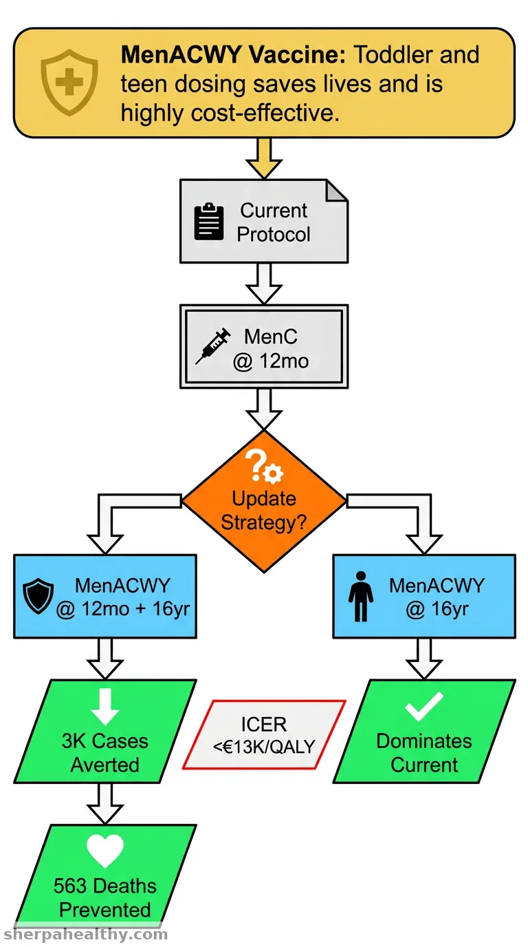 Public health impact and cost-effectiveness of introducing MenACWY vaccination strategies in Germany.