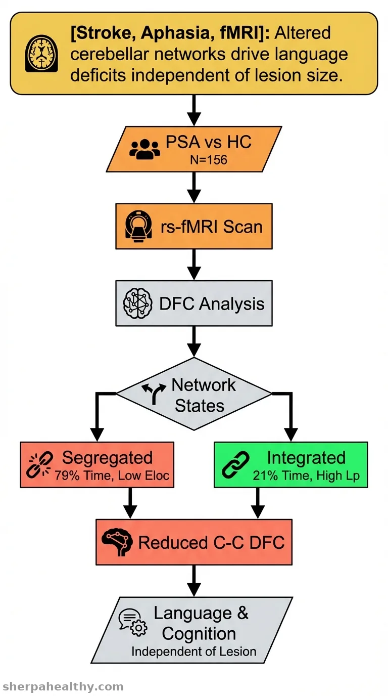 Study of Cerebellar Network Dynamics in Post-Stroke Aphasia Patients Based on Resting-State Functional Magnetic Resonance Imaging.