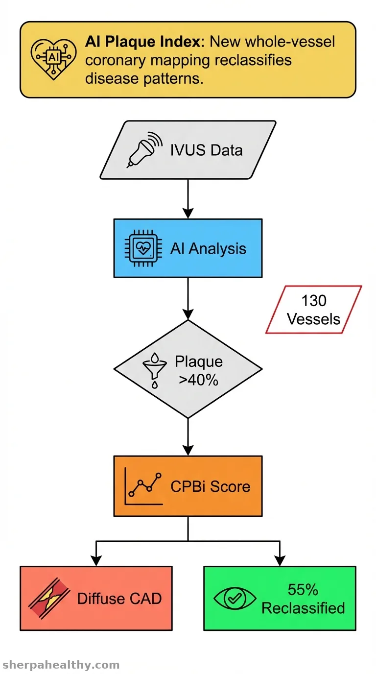 Cumulative plaque burden analysis for phenotyping epicardial coronary artery disease.