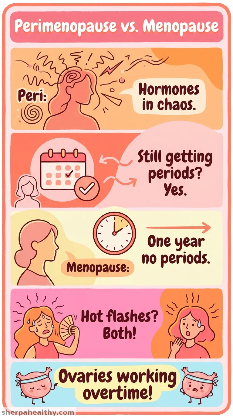 Perimenopause vs. Menopause: A Look at the Difference
