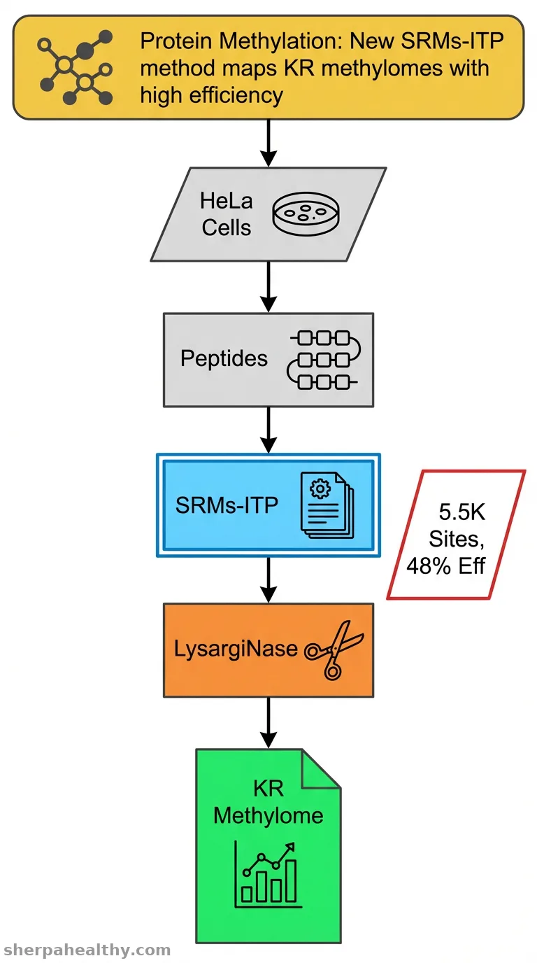 Global Methylation Profiling by Selective Release of Methylated Sites from Immobilized Tryptic Peptides.