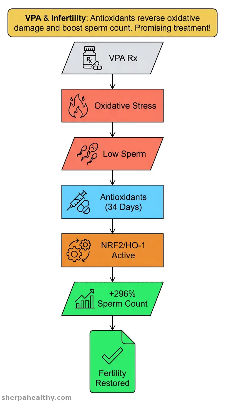 Micronutrient antioxidant supplementation alleviates valproic acid-induced oxidative stress and male infertility via the NRF2/HO-1 pathway.