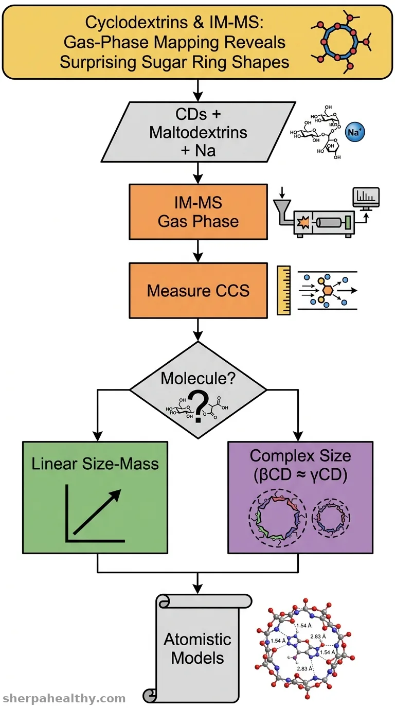 Structural characterization of cyclodextrin and maltodextrin alkali-metal coordination