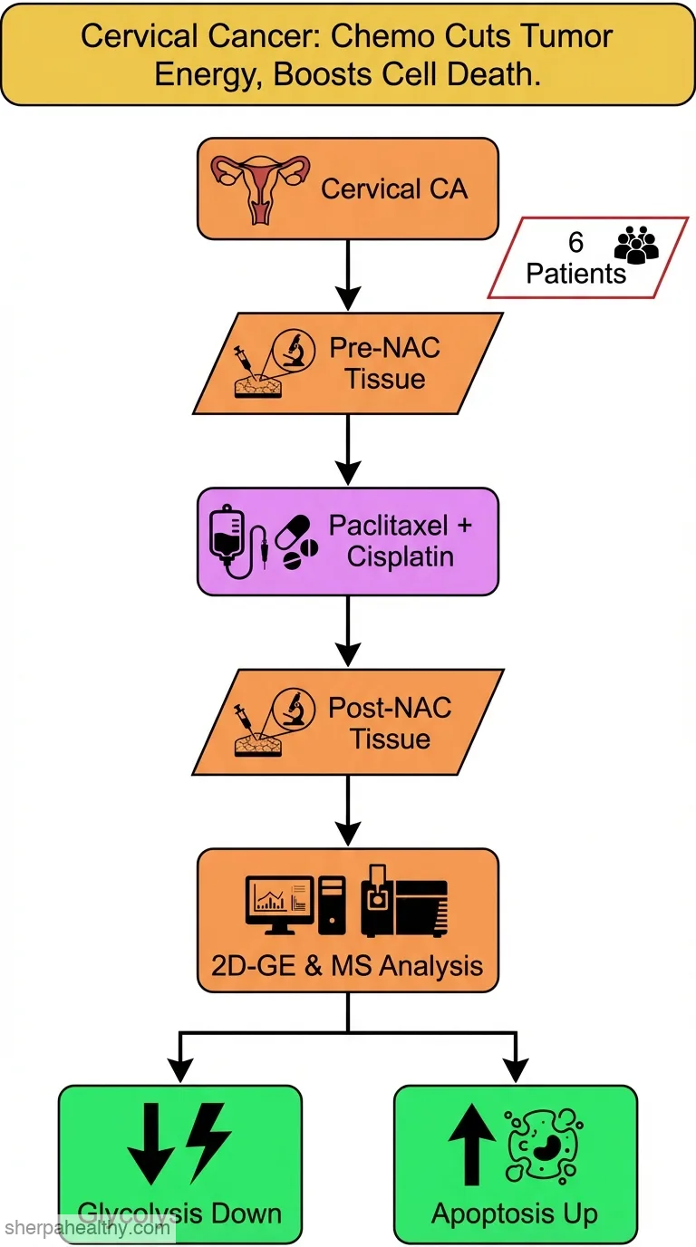 Identification of cervical cancer proteins associated with treatment with paclitaxel and cisplatin in patients.