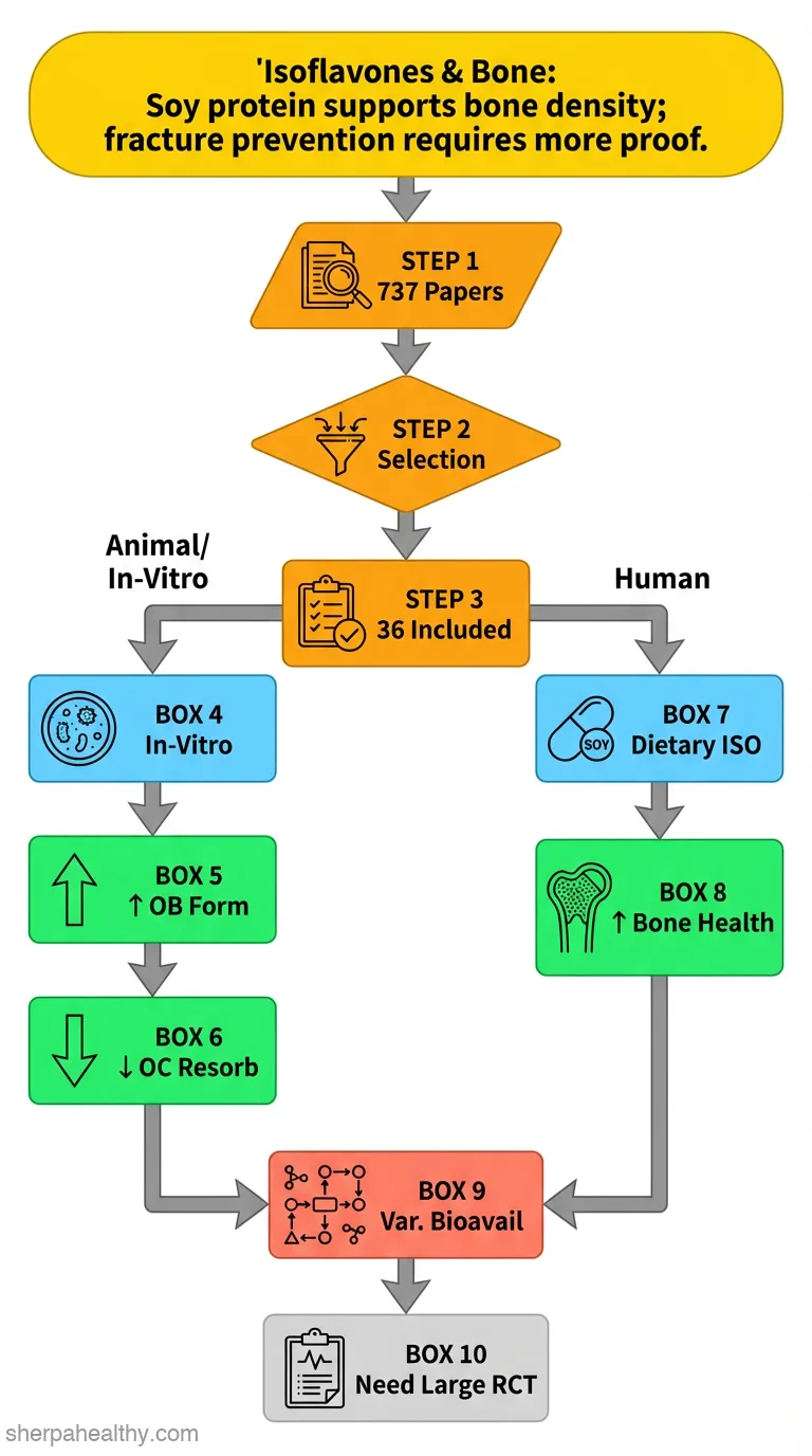 Isoflavones: effects on bone health.