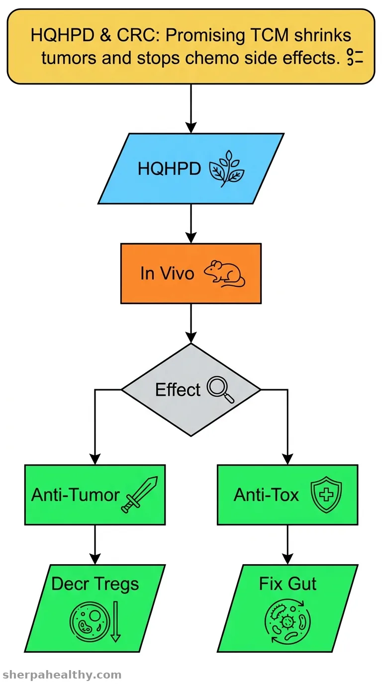 The antitumor mechanisms of Huangqin Houpo decoction and its effect on chemotherapy-induced toxicity in colorectal cancer.