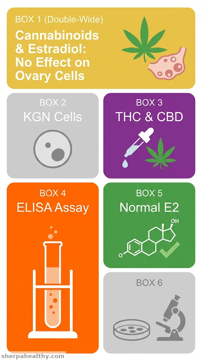 Cannabinoid exposure does not alter estradiol biosynthesis in human KGN granulosa cells.