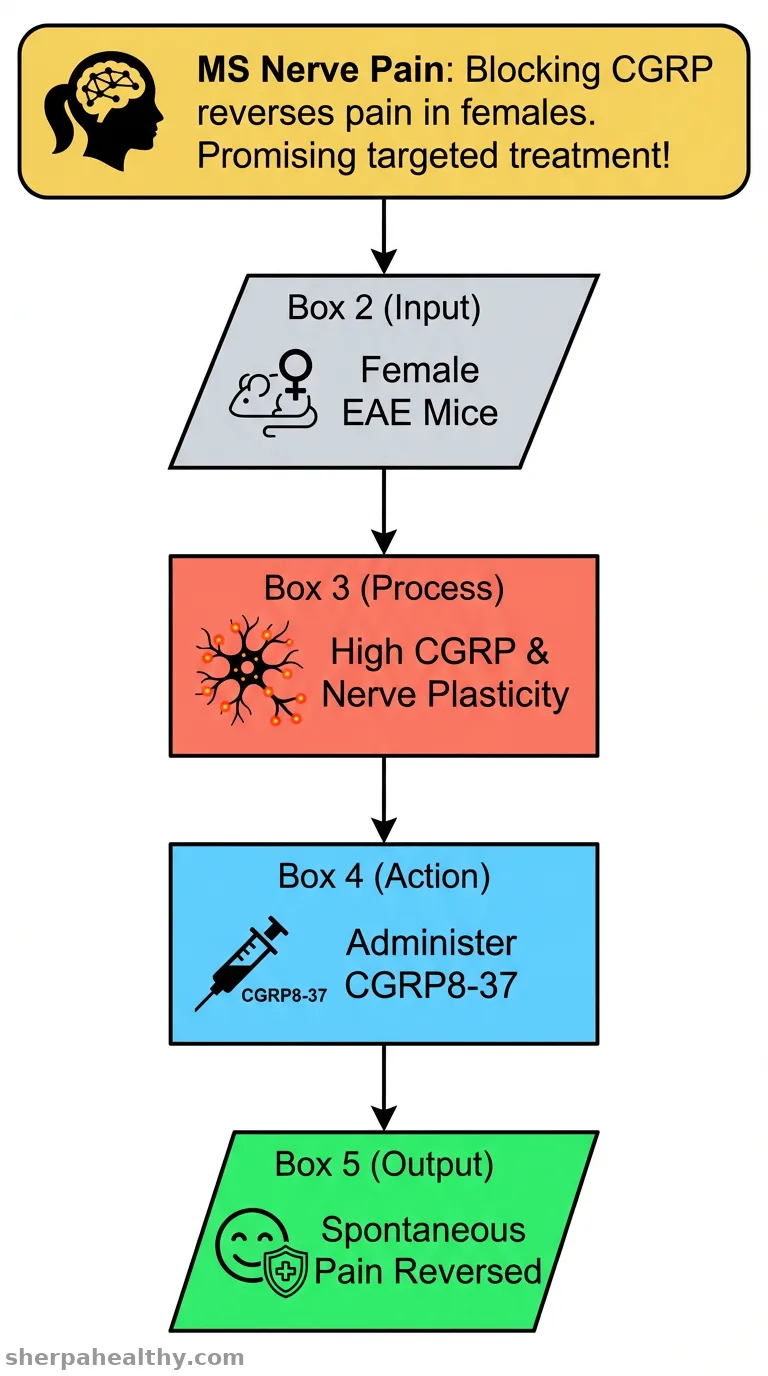 Sex-specific involvement of calcitonin gene-related peptide signaling for pain in experimental autoimmune encephalomyelitis.