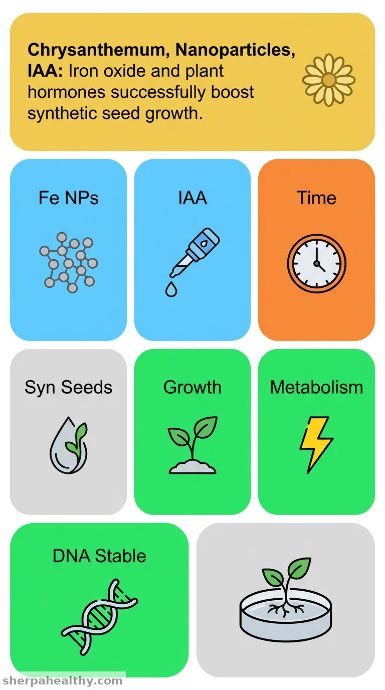 Enhancing Germination and Growth of Chrysanthemum Synthetic Seeds Through Iron Oxide Nanoparticles and Indole-3-Acetic Acid: Impact of Treatment Duration on Metabolic Activity and Genetic Stability.