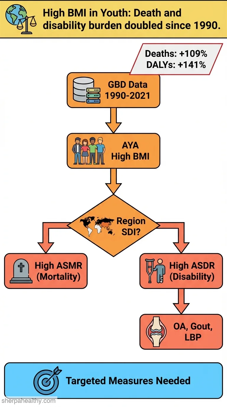 Global, regional and national burden and trends of disease attributable to high body mass index in adolescents and young adults from 1990 to 2021.