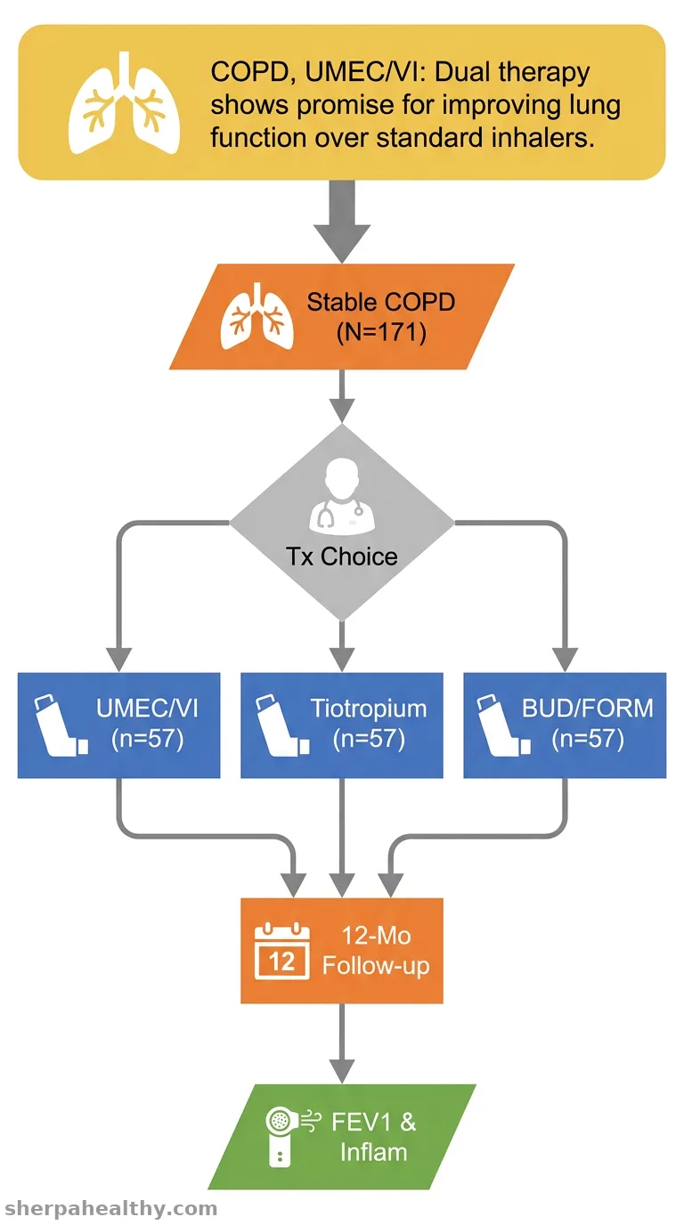 Impact of umeclidinium/vilanterol dual bronchodilator therapy on pulmonary function and inflammatory responses in stable COPD patients.