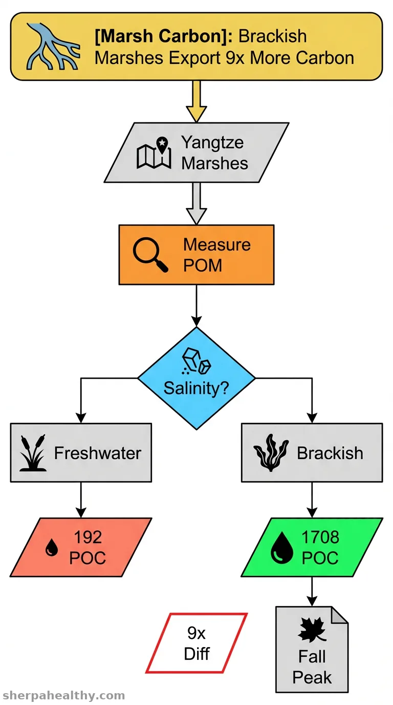 Strong heterogeneity in laterally exchanged particulate organic matter across tidal marshes in a large river delta.