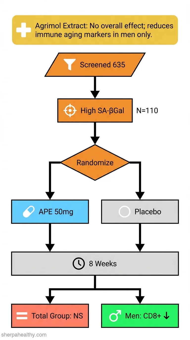 Preliminary Data on the Senolytic Effects of 