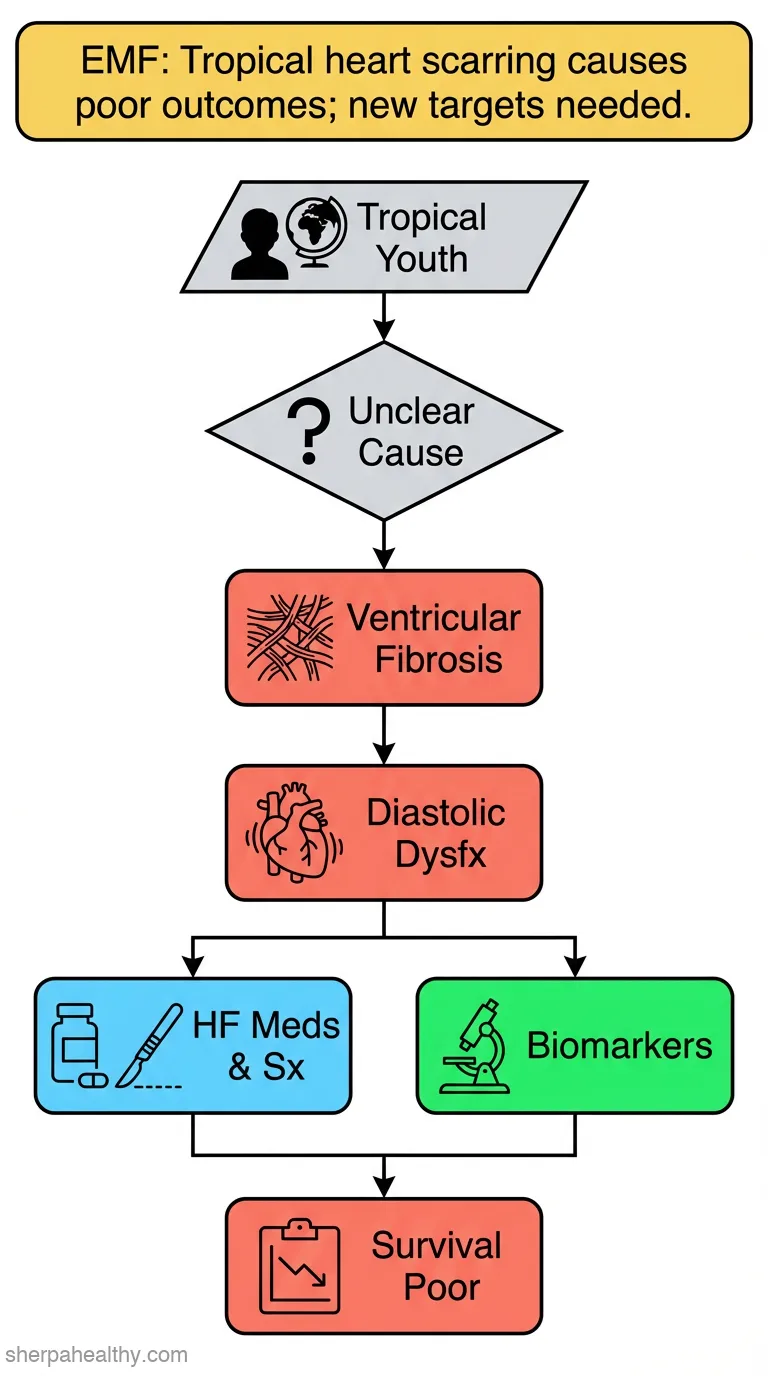 Endomyocardial fibrosis: recent advances and future therapeutic targets.