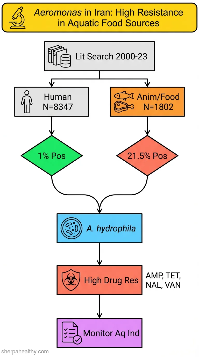 Aeromonas characteristics in Iran, Southwest Asia; a systematic review and meta-analysis on epidemiology, reservoirs and antibiotic resistance profile from aquatic environments to human society during 2000-2023.