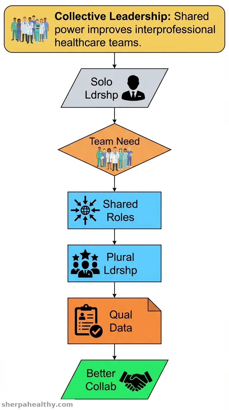 Collective leadership in collaborative practice: a qualitative secondary analysis of how plural leadership is enacted in practice.