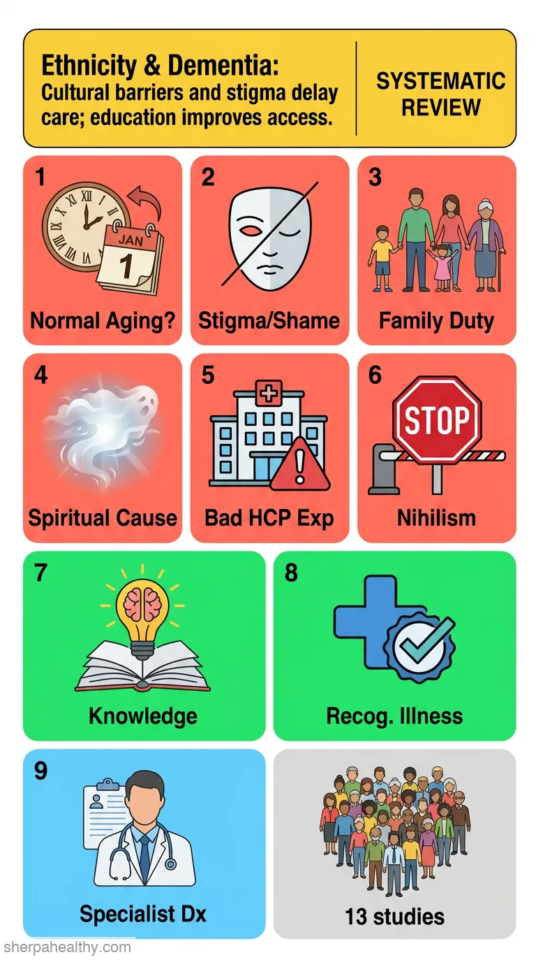 A systematic review of ethnicity and pathways to care in dementia.