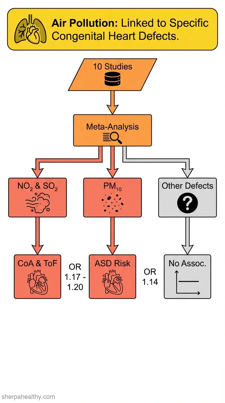 Ambient air pollution and risk of congenital anomalies: a systematic review and meta-analysis.