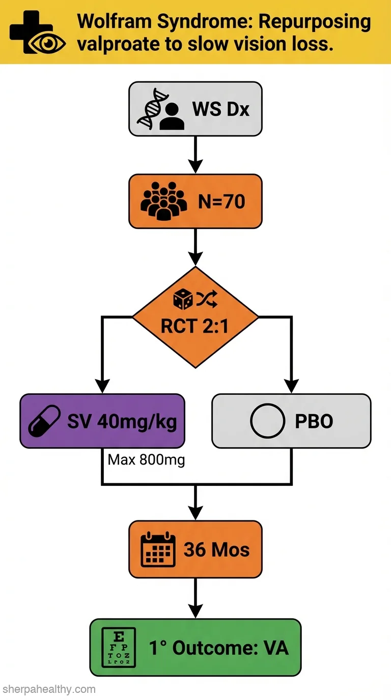 Sodium valproate, a potential repurposed treatment for the neurodegeneration in Wolfram syndrome (TREATWOLFRAM): trial protocol for a pivotal multicentre, randomised double-blind controlled trial.