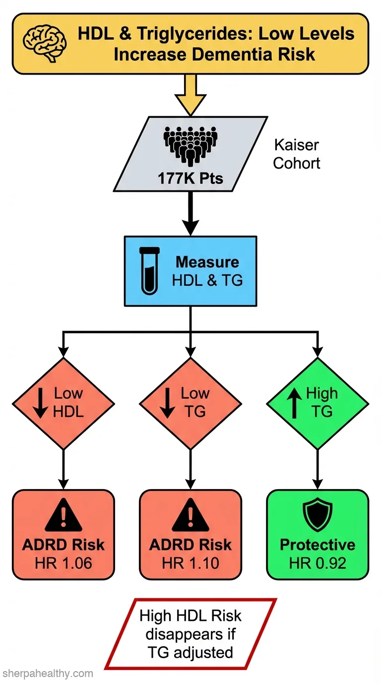 Independent associations of high-density lipoprotein cholesterol and triglyceride levels with Alzheimer's disease and related dementias.