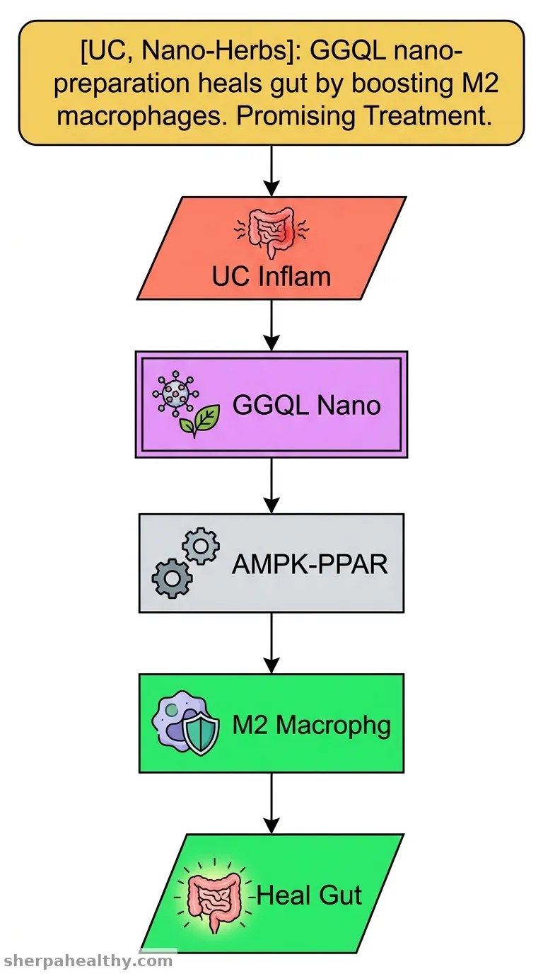 Mechanism study on the treatment of ulcerative colitis by Gegen Qinlian nano-preparation through promoting M2 macrophage polarization.