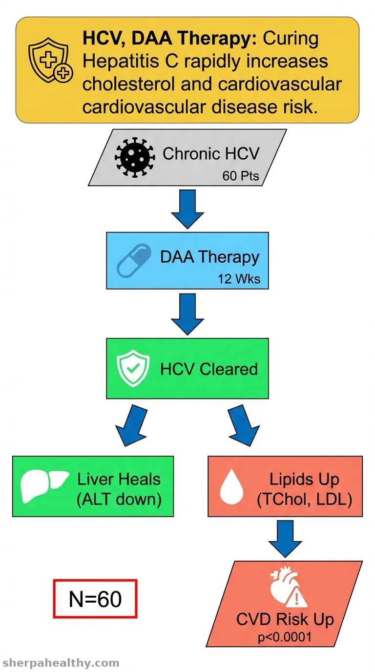 Clearance of Hepatitis C Viremia During Direct-Acting Antiviral Therapy Leads to Rapid Changes in Lipid and Lipoprotein Metabolism.