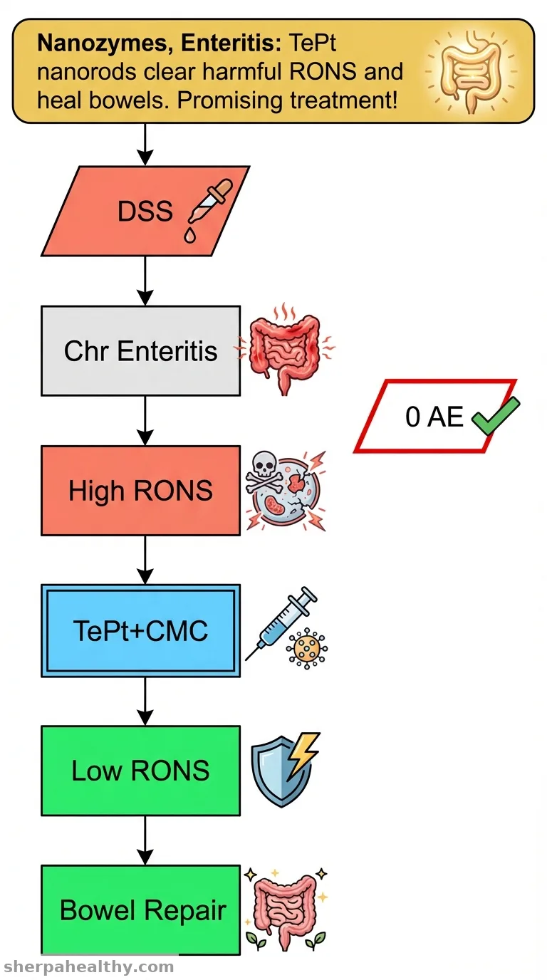 RONS clearing TePt @ sodium carboxymethyl cellulose nanozymes for chronic enteritis therapy.