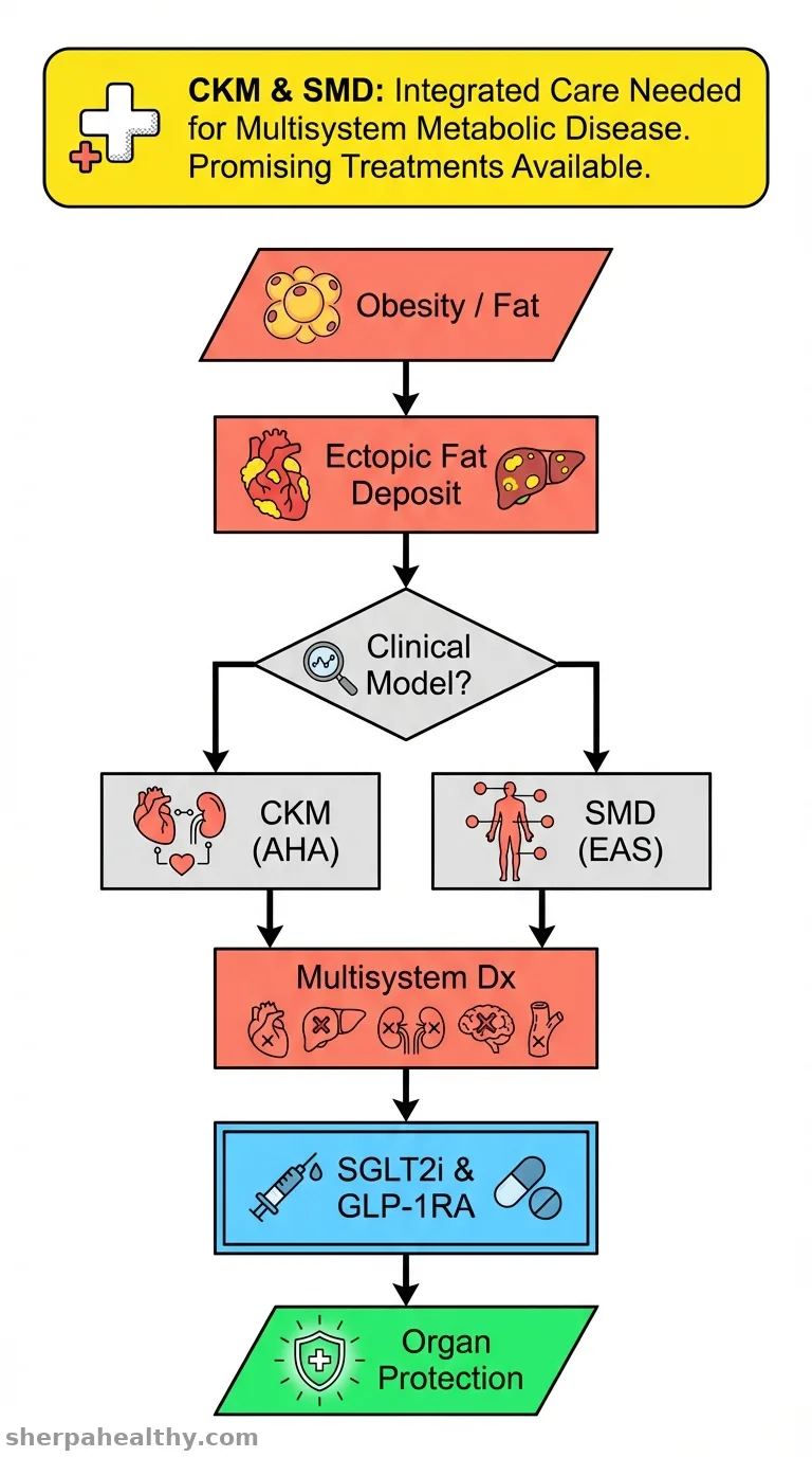 From Metabolic Syndrome to Cardiovascular-Kidney-Metabolic Syndrome and Systemic Metabolic Disorder: A Call to Recognize the Progressive Multisystemic Dysfunction.