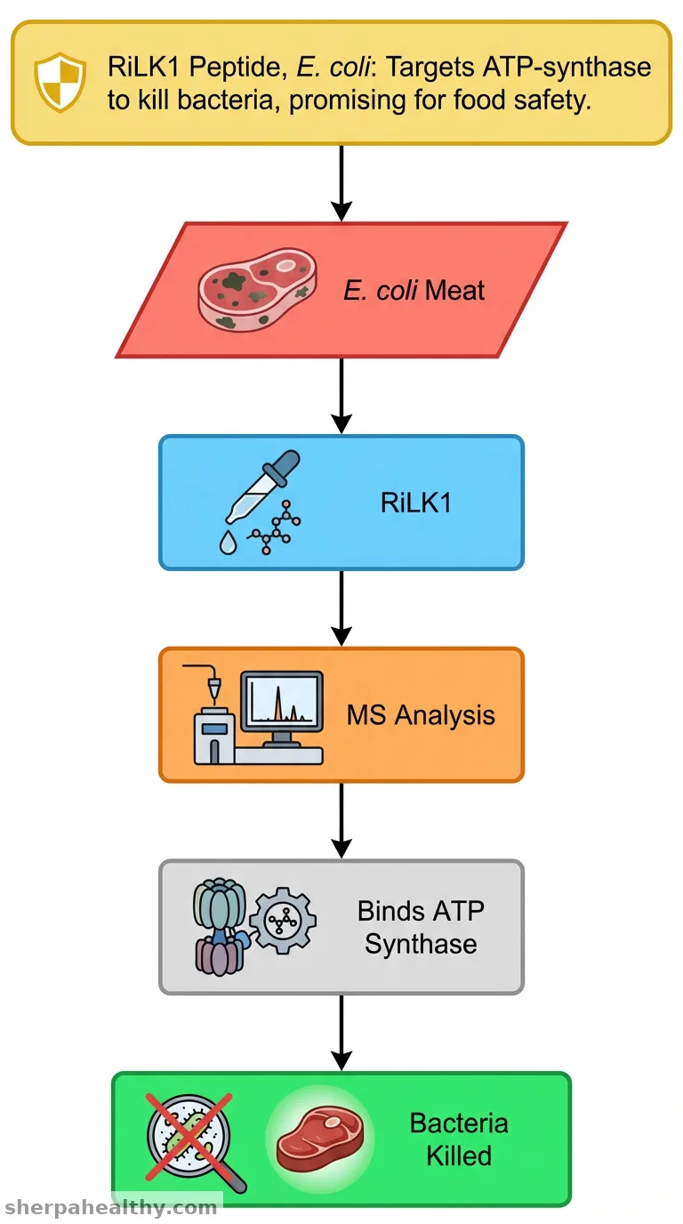 Disclose ATP-synthase as a protein target of the antimicrobial peptide RiLK1 in Escherichia coli: An alternative receptor-mediated bactericidal mechanism.