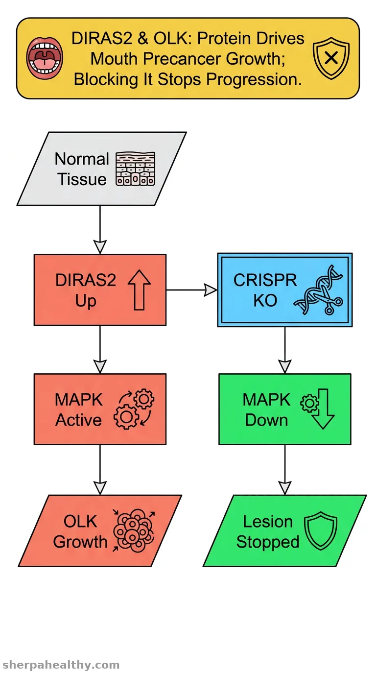 The small GTP-binding Ras-like protein DIRAS2 promotes cell proliferation in oral leukoplakia via the RAF/MEK/MAPK pathway.