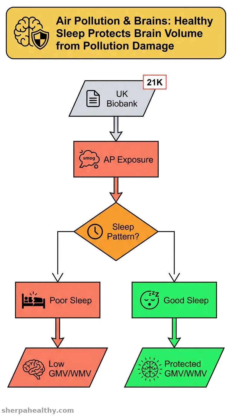 Associations of ambient air pollution exposure and sleep pattern with brain structures: A prospective study in the UK Biobank.