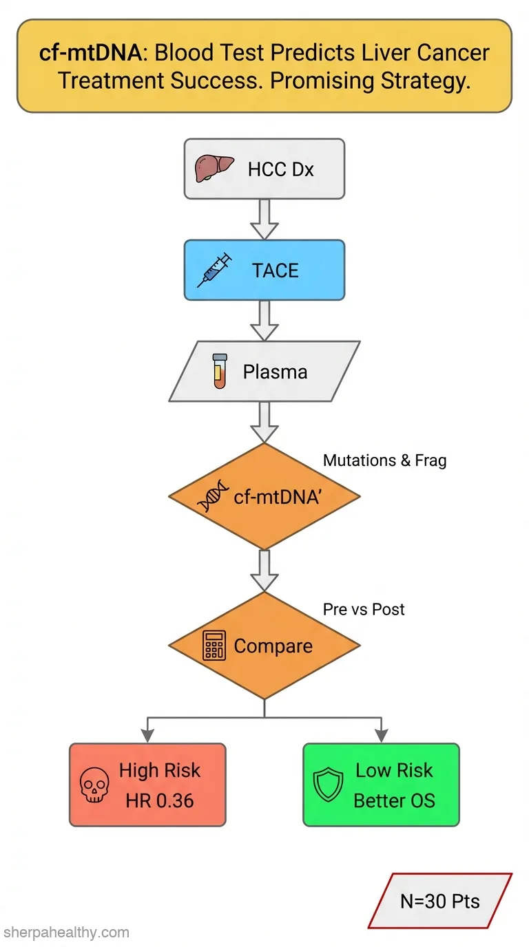 Multiple features of cell-free mtDNA for predicting transarterial chemoembolization response in hepatocellular carcinoma.
