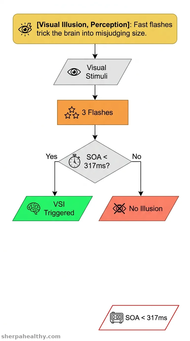 The visual saltation illusion expanding and contracting: Determining the impact of flash duration and ISI.