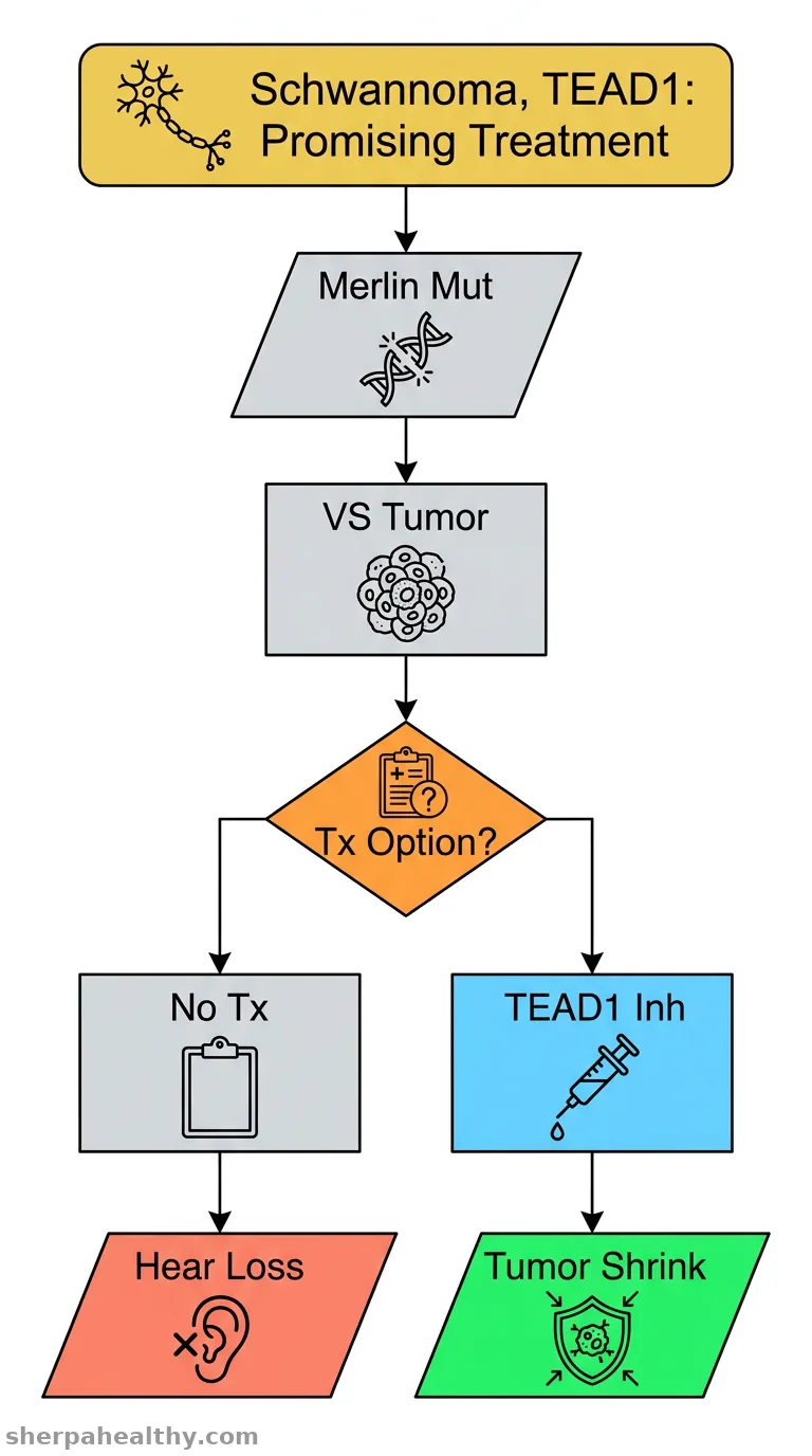 Variable Schwann cell merlin inactivation is targetable with TEAD1 inhibition in schwannomas.