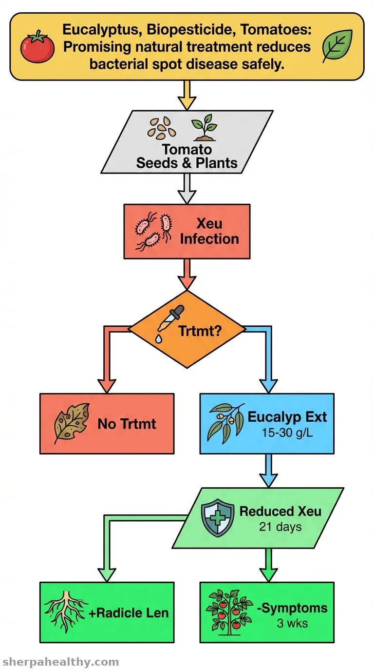 Eucalyptus leaf aqueous extract - a promising biopesticide for managing bacterial spot disease in tomato plants.