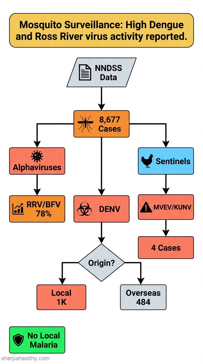 Arboviral diseases and malaria in Australia, 2008-09: annual report of the National Arbovirus and Malaria Advisory Committee.