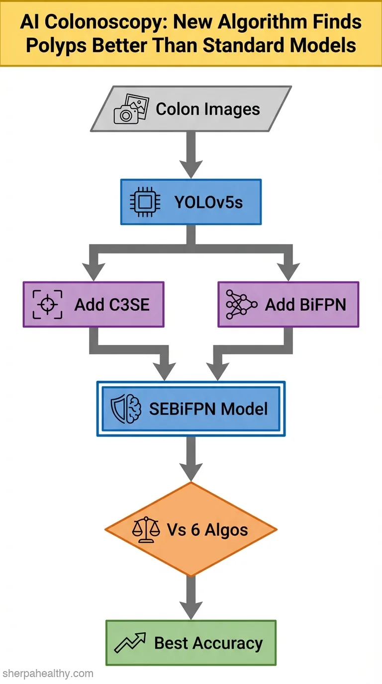 A colonic polyps detection algorithm based on an improved YOLOv5s.
