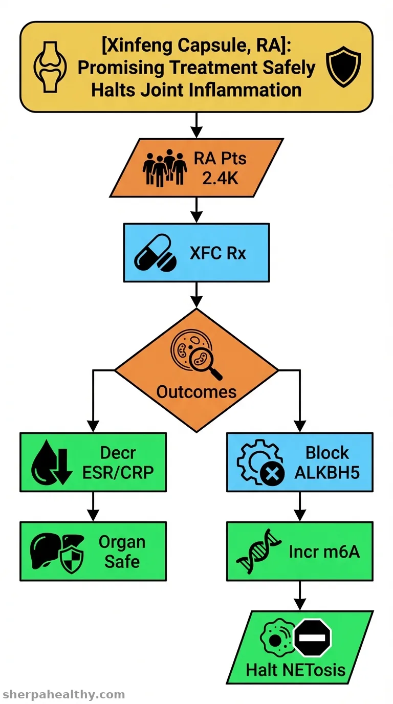 Unveiling novel therapeutic mechanisms of Xinfeng capsule: modulating the ALKBH5-m6A-LINC00968 axis to alleviate oxidative stress-driven NETosis in rheumatoid arthritis.